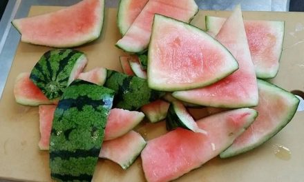 Estudantes produzem bioplástico feito com casca de melancia