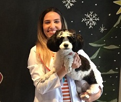 Veterinária alerta para cuidados com os pets no verão