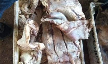 Mais de 100 quilos de carne estragadas são apreendidos em feira livre de Uruçuca