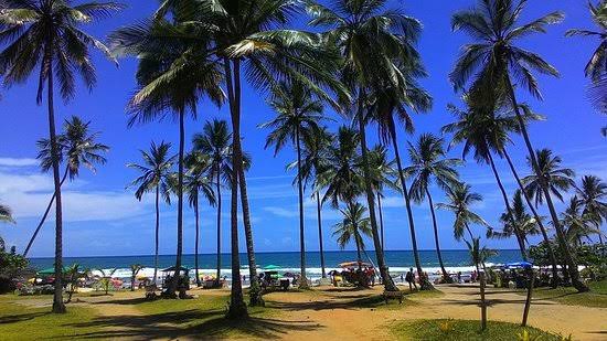 Itacaré: Justiça mantém suspensão das obras de bar na Praia do Resende