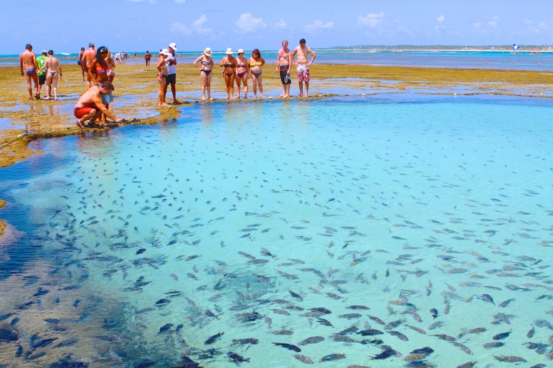 Estados do Nordeste se unem para ampliar fluxo de turistas estrangeiros