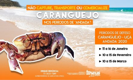 Período do defeso do caranguejo-uçá inicia a partir deste sábado (11)