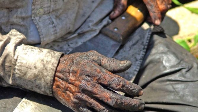 Bahia: Segundo MPT, 21 pessoas foram resgatadas de trabalho escravo em 2019