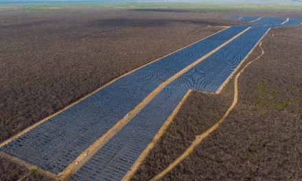 Empresa investe R$ 508 milhões em novo parque solar na Bahia