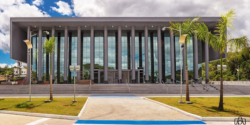 Campanha “Teatro Solidário” já arrecadou mais de duas mil toneladas de alimentos