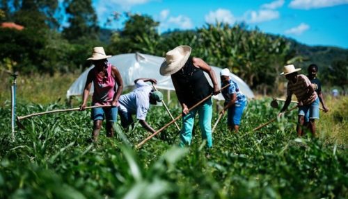 Prorrogado prazo para inscrição do Prêmio Prefeitura Parceira da Agricultura Familiar