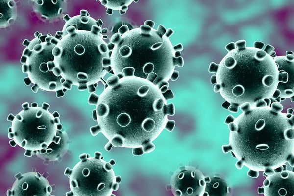 Coronavírus: Ministério Público cria 0800 para contato com a população