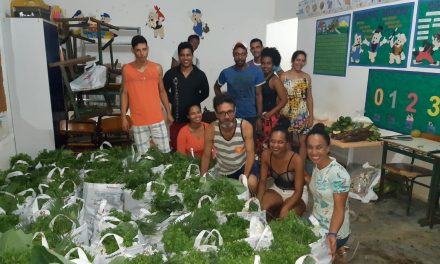 Rede Povos da Mata vai doar cestas de alimentos orgânicos para famílias carentes afetadas pela Covid-19
