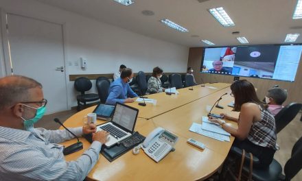 Em videoconferência com secretário da Saúde, prefeitos do sul da Bahia pedem apoio para fiscalizar população