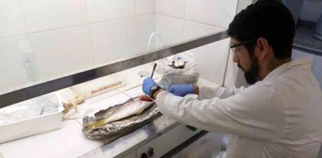 Bahia Pesca apresenta novos resultados da análise do pescado