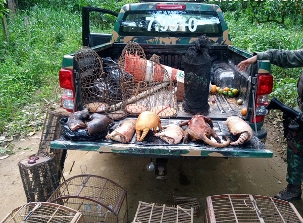 Polícia apreende 27 animais silvestres e sete armas artesanais no sul da Bahia