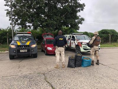 Polícia apreende drogas em barreira sanitária na BR-116