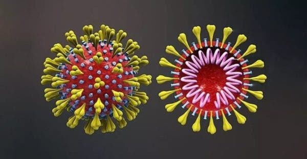 Epicentro: Brasil chega a 1 milhão de casos de coronavírus confirmados