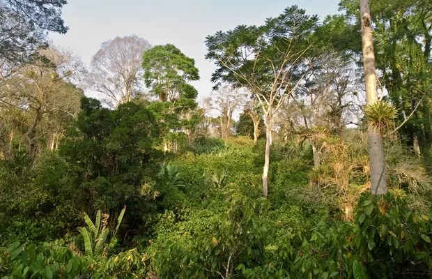 Região Sul da Bahia será beneficiada por programa internacional Euroclima