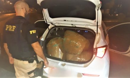 PRF prende casal transportando 60 quilos de maconha na BR-116