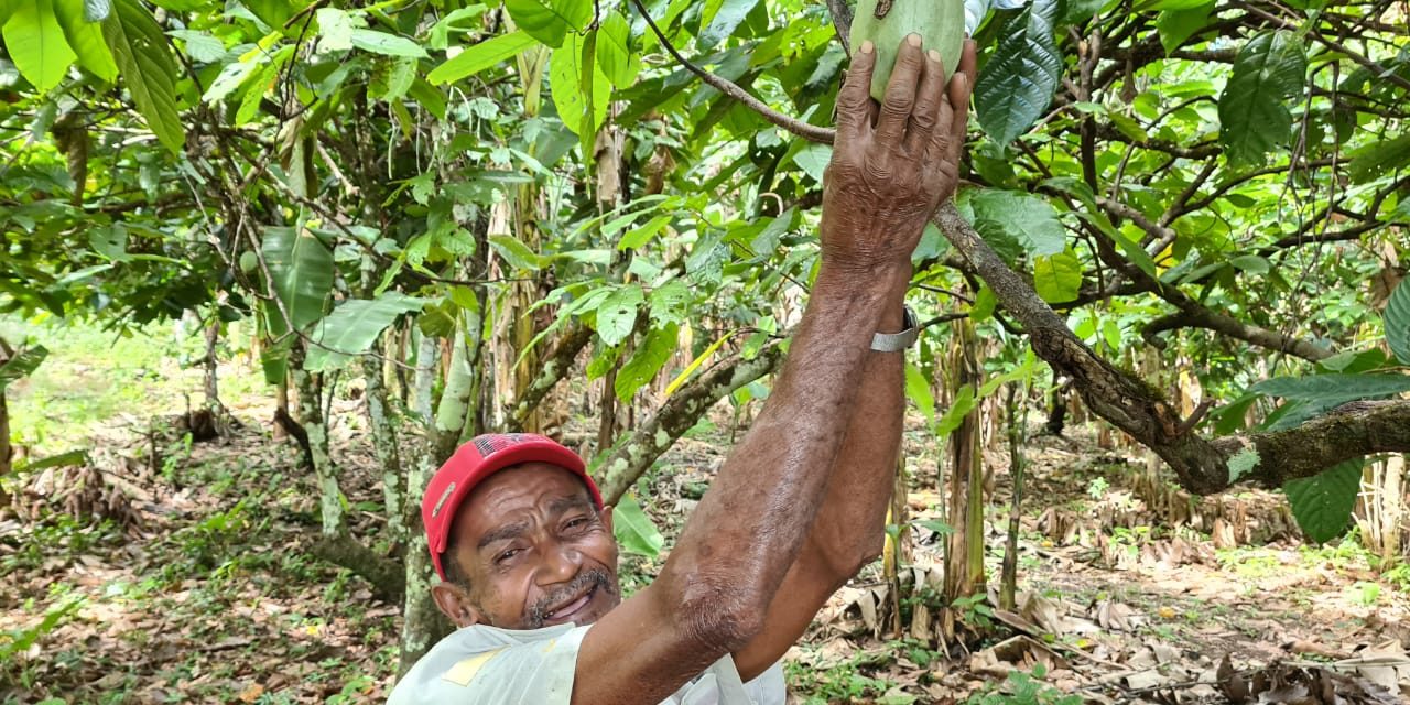 Coopfesba apoia agricultores familiares no acesso a crédito rural