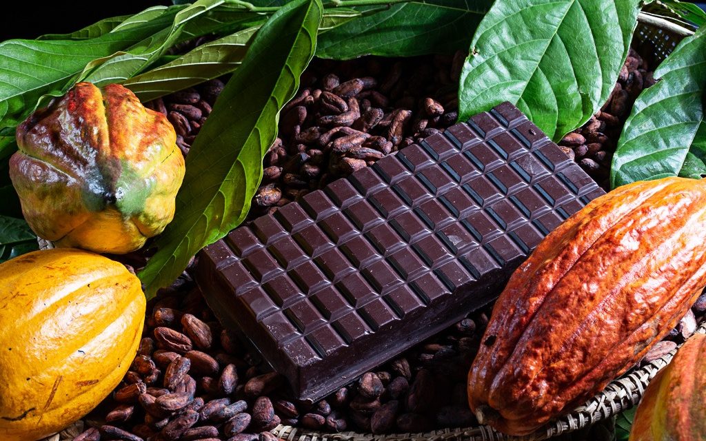 Agricultura familiar comemora produção de chocolates de qualidade no Dia Mundial do Chocolate