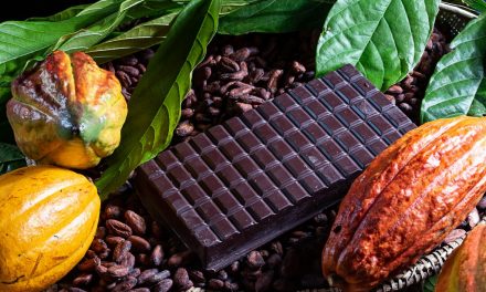 Agricultura familiar comemora produção de chocolates de qualidade no Dia Mundial do Chocolate