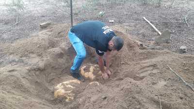Polícia descobre 100 kg de maconha enterrados