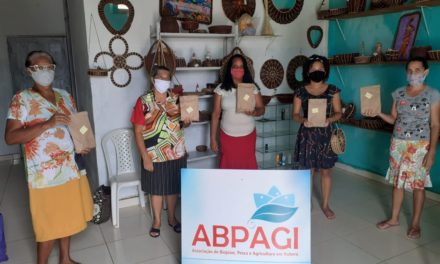 Agricultoras familiares do Baixo Sul da Bahia firmam parceria com Michelin para produção de biojoias