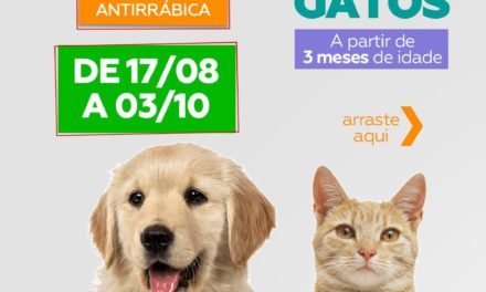 Itabuna prossegue com vacinação de cães e gatos contra a raiva