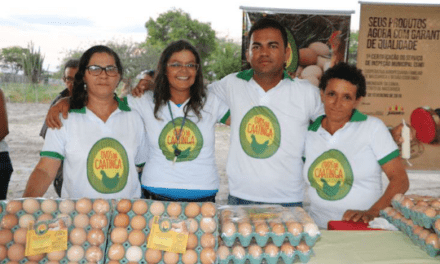 Governo do Estado promove ações para desenvolver agronegócio na Bahia