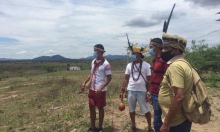 Projeto do Governo do Estado beneficia comunidades indígenas no Sul da Bahia