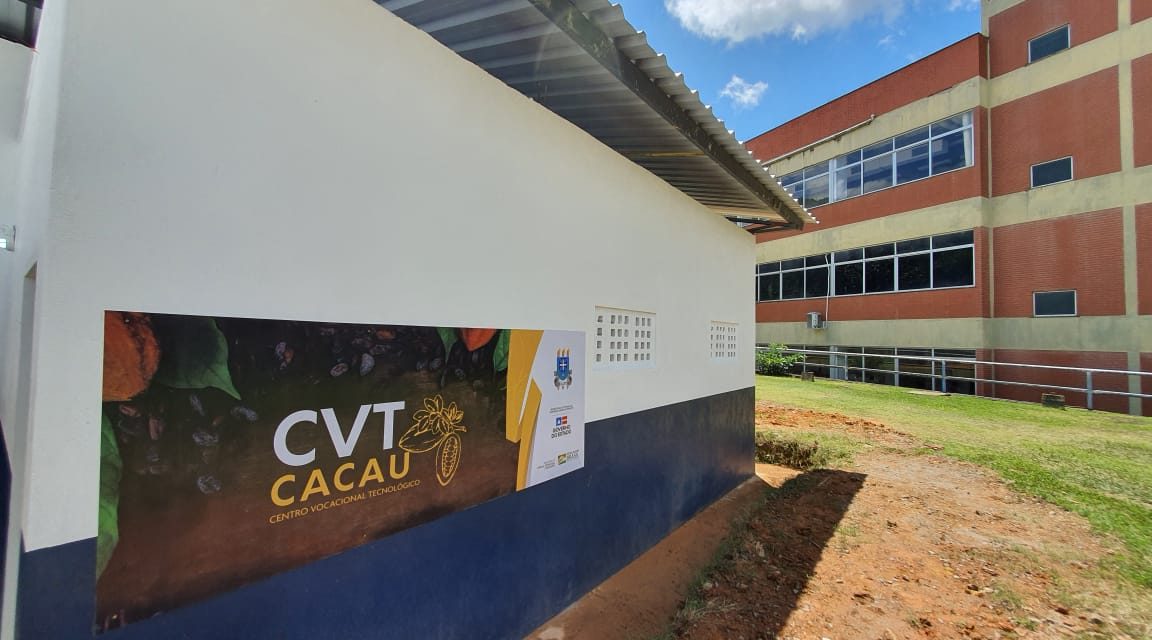 CVT Cacau vai ampliar produção e aumentar geração de renda no Sul da Bahia
