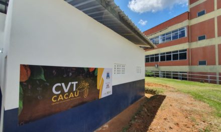 CVT Cacau vai ampliar produção e aumentar geração de renda no Sul da Bahia