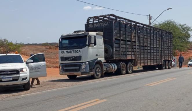 Ações de inteligência da ADAB detectam quadrilha especializada em esquentar guias clandestinas de animais