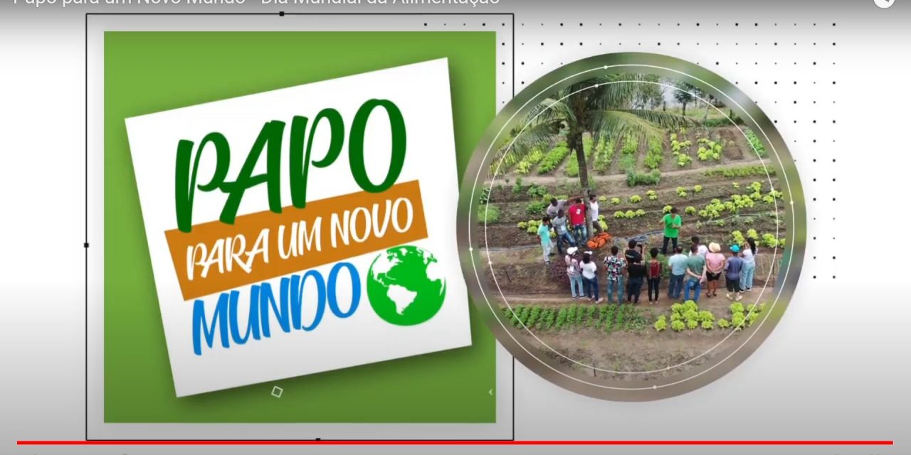 O retorno do Brasil ao Mapa da Fome abriu o ciclo de debates virtuais Papo para um Novo Mundo