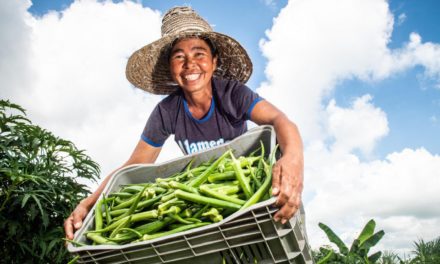 Bahia Produtiva investe na agricultura familiar e muda a vida da mulher e do homem do campo