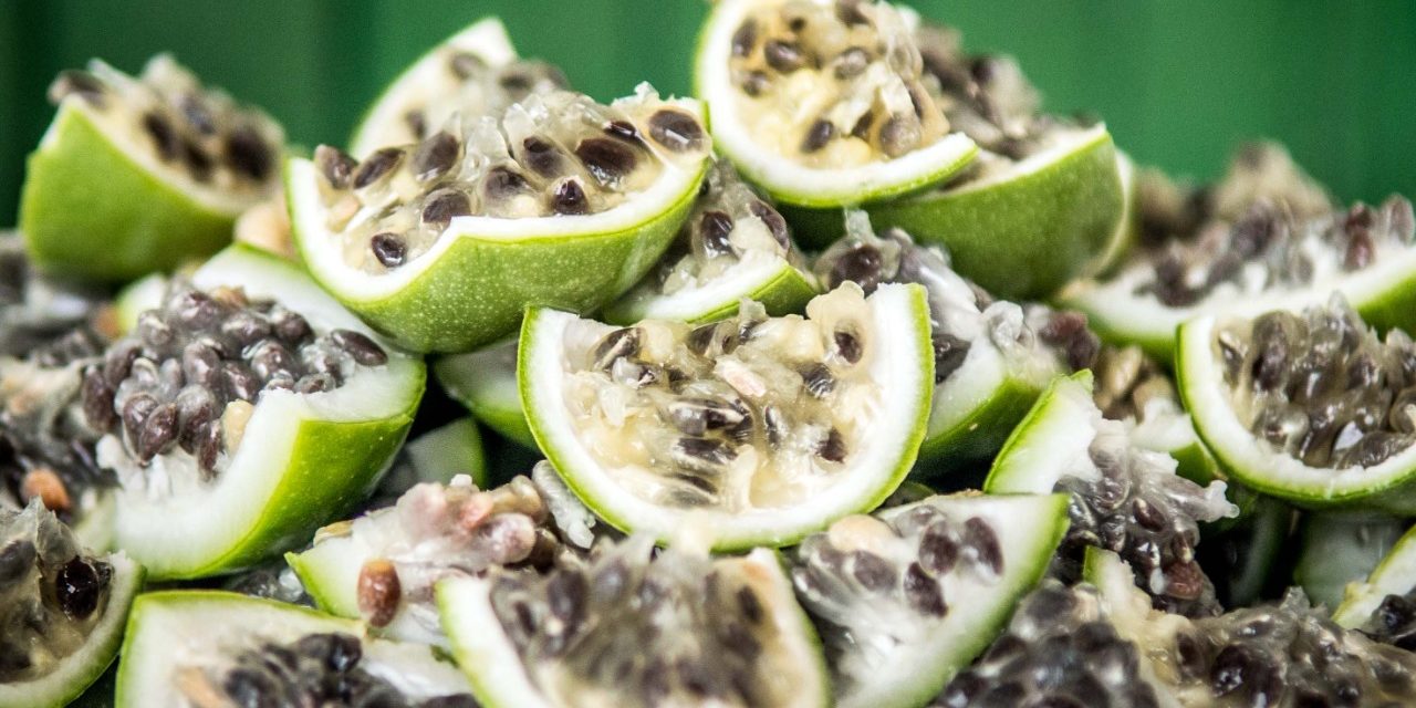 Primeiro dia do Terra Madre Brasil tem ingredientes da caatinga baiana em destaque