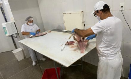 Dumar investe R$ 1 milhão e amplia produção de pescados em Ilhéus