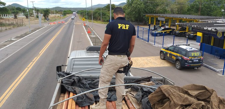 Mais um carregamento irregular de madeira é apreendido na Bahia em menos de 24 horas