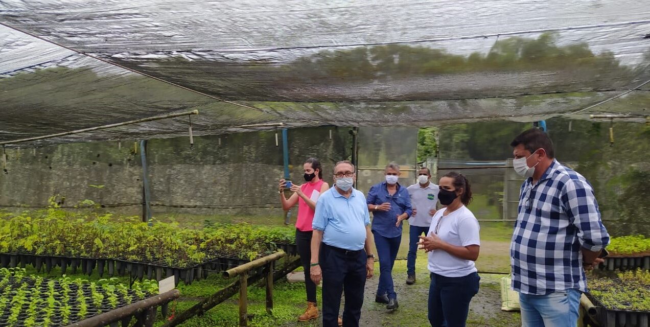 Fabricantes de suco e prefeitura de Estância (SE) querem parceria com Biofábrica para produção de maracujá