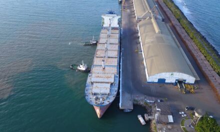 Atlantic Nickel embarca quase 10 mil toneladas de concentrado de níquel para China do porto de Ilhéus