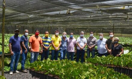 Em parceria com estado, agricultores familiares do Baixo Sul receberão mudas da Biofábrica da Bahia
