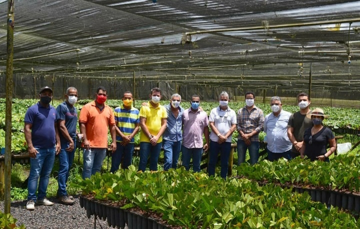 Em parceria com estado, agricultores familiares do Baixo Sul receberão mudas da Biofábrica da Bahia