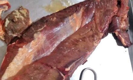 Fiscais apreendem mais carne estragada no São Caetano em açougues da mesma rede