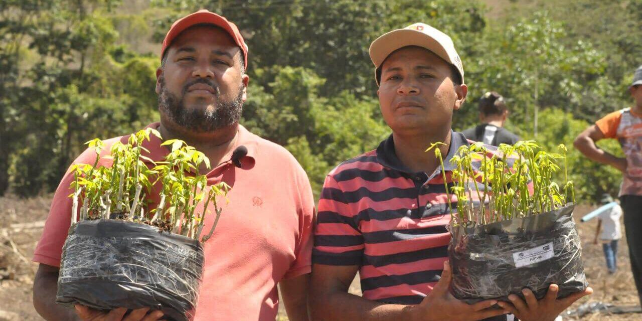 Comunidade indígena Pataxó Hã-Hã-Hãe é beneficiada com mudas da Biofábrica da Bahia