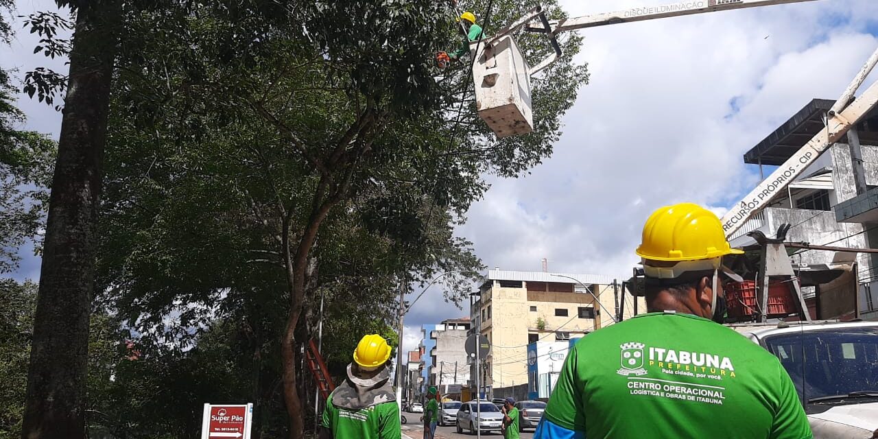 Prefeitura intensifica ação preventiva em Itabuna com a poda de árvores