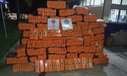 No caminho da roça: polícia apreende mais de 1,2 tonelada de maconha em Itabuna