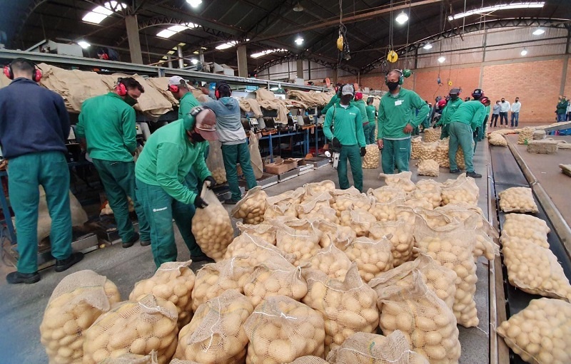 Bahia cria mais de 10 mil postos de trabalho em maio e segue líder de geração no Nordeste