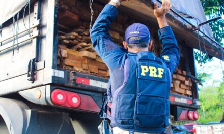 PRF apreende na BR-101, em Itabuna, carga de madeira nativa transportada de forma ilegal