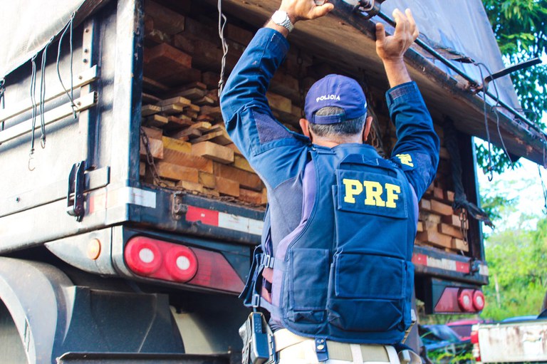 PRF apreende na BR-101, em Itabuna, carga de madeira nativa transportada de forma ilegal