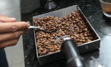 Café do sudoeste recebe R$ 5 milhões em investimentos através do programa Bahia Produtiva