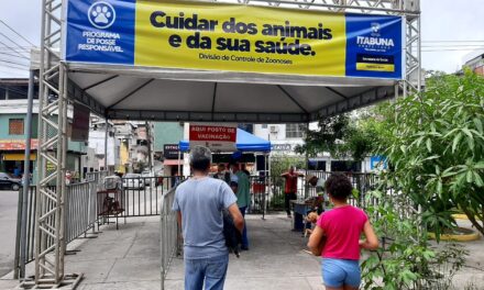 Itabuna: Campanha contra raiva vacina 370 cães e gatos nos dois primeiros dias