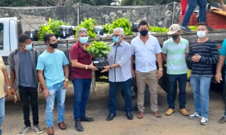 Biofábrica entrega 10 mil mudas para agricultores familiares de Potiraguá