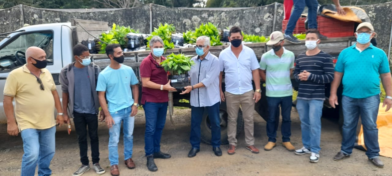 Biofábrica entrega 10 mil mudas para agricultores familiares de Potiraguá